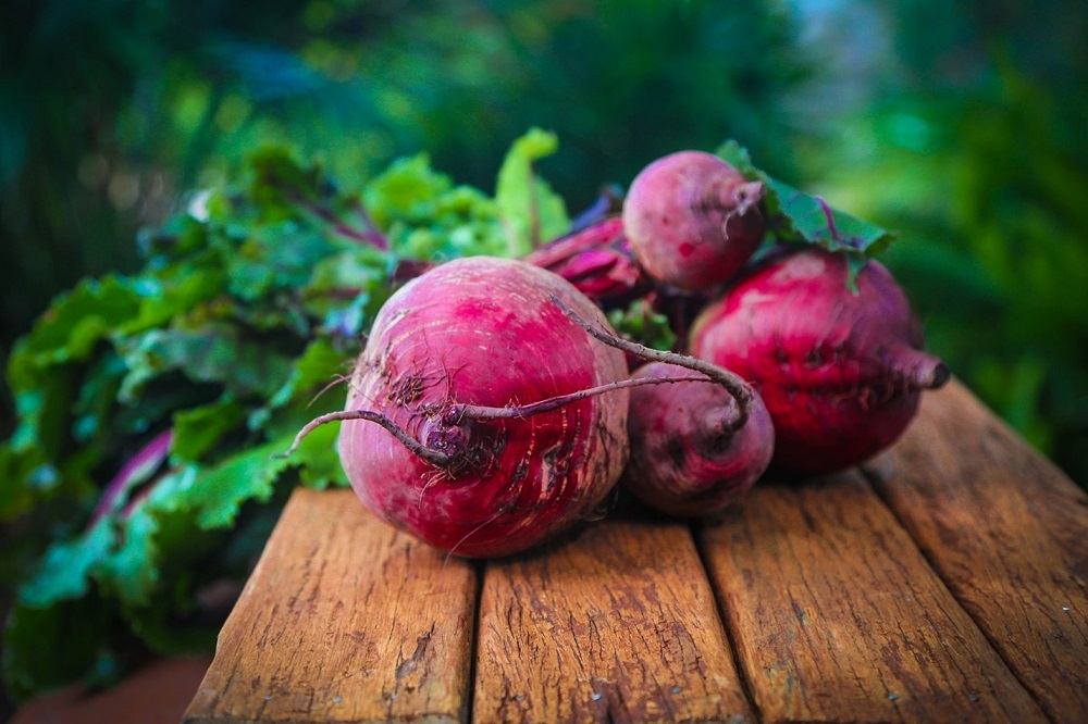 one of the best crops to harvest in winter: beets